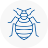 Bed Bug Extermination In Abingdon