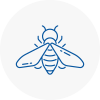 Bee Nest Removal Abingdon