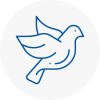 Bird Prevention Abingdon