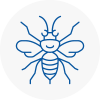 Abingdon Hornet Nest Removals