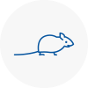 Mice Exterminators In Abingdon