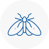 Moth Control Specialists In Abingdon