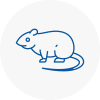 Rat Control Abingdon