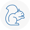 Abingdon Rodent Removals